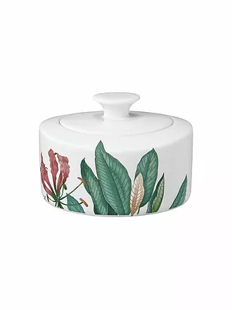VILLEROY & BOCH SIGNATURE | Zucker-Marmeladedose 0,33l Avarua Weiss | 